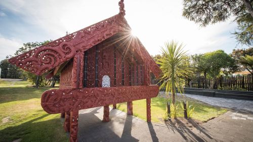 Waitomo glowworm caves + Te Puia geothermal park + Maori culture + Rotorua 16-person group tour Day Tours