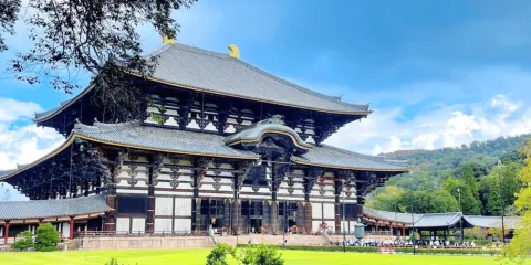 大阪:奈良和宇治市一日遊,包括鹿公園與溫泉