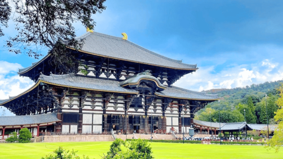 Osaka: Perjalanan Sehari ke Nara dan Uji dengan Taman Rusa dan Mata Air Panas