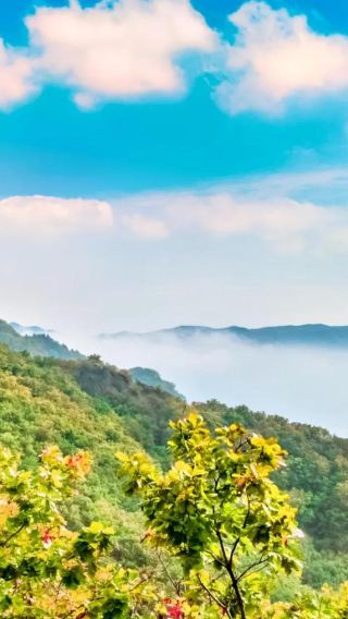 ทัวร์ 1 วัน รอบเมืองเหยียนจี๋: สถานที่ท่องเที่ยวถูเหมิน + เขารื่อกวาง + ชนเผ่าร้อยปี + เขาหม่าเอ่อร์ ไม่รวมตั๋วเข้า