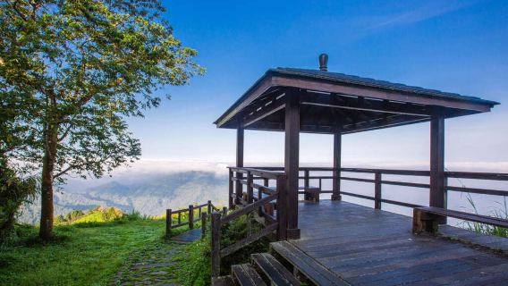 Pakej Pelancongan Sehari di Chiayi Alishan Laluan C - Taman Rekreasi Hutan Alishan dan Jejak Er Yan Ping