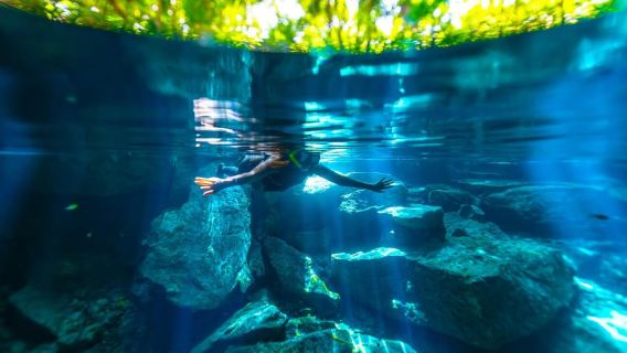 Riviera Maya: Kantun Chi Cenotes, Snorkel & Jungle Hiking