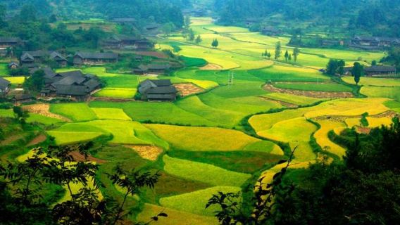 Zhangjiajie Shiyanping 1-day tour | Explore the 600-year-old pristine Tujia ancient village