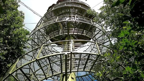 Bacalar: Kan Kin Zipline Tour