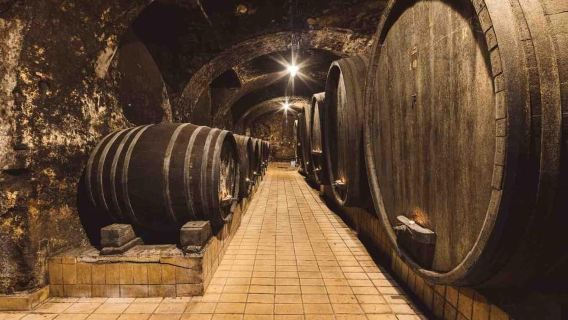 Maribor: Vinag Wine Cellar Tour with Wine tasting and snacks