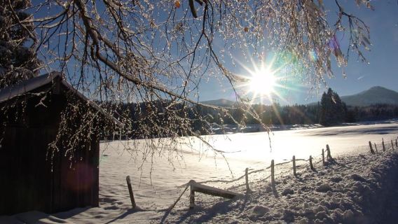 Schneeschuhwanderung im Allgäu