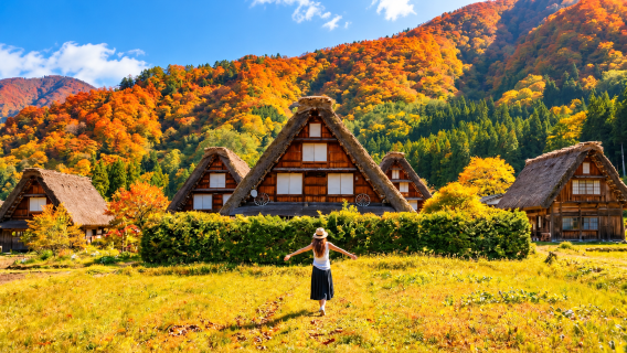 Nagoya Shirakawa-go gassho village · Hida Takayama 1-day tour · Autumn hidden gem tour with optional Hida beef