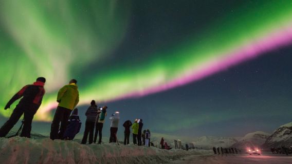 Tour noturno de caça à aurora boreal em Tromso, Noruega (ida e volta de Tromso | grupo em inglês com fotografia)