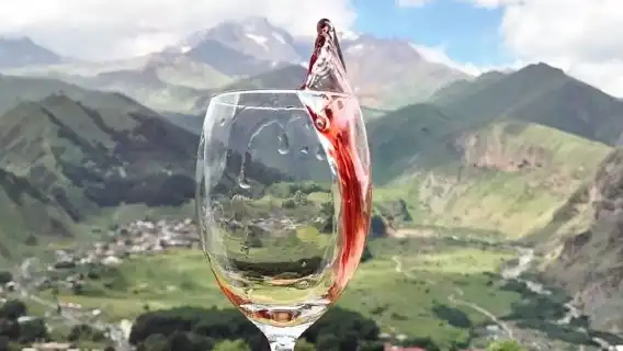 Day tour to Kakheti wine region Georgia
