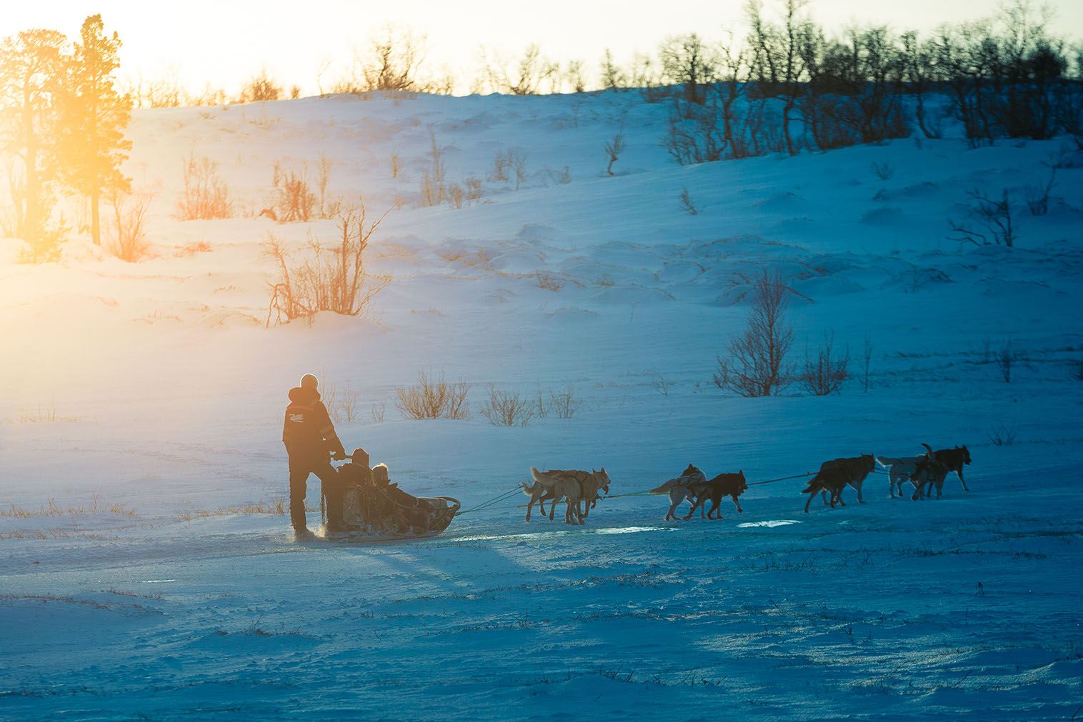 Tromsø · Camp-Aktivitäten[Hundeschlitten-Erlebnis im Camp Tamokdalen, Norwegen]