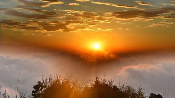 DarjeelingTours
