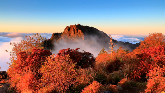 Excursion d'une journée au parc national de Jirisan pour observer le feuillage d'automne (départ de Busan / Minimum 4 personnes)