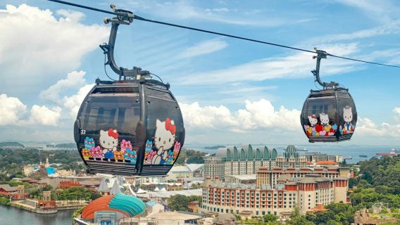 Singapore Cable Car: Flexi Pass with Roundtrip + 3 Experiences