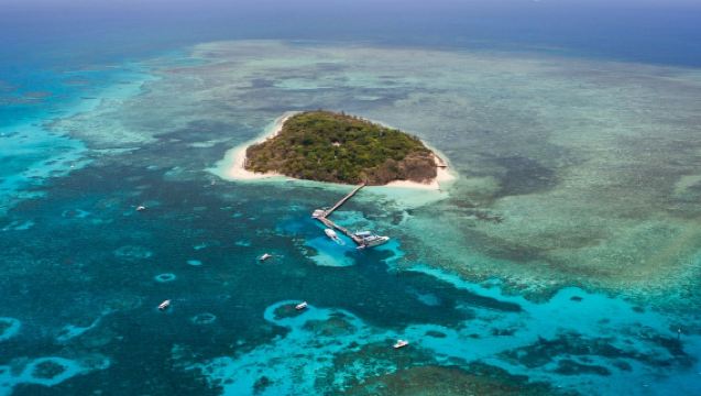 เกาะกรีน: เที่ยวบินพร้อมไกด์ 40 นาที + เรือสำราญ ต้นทางจากแคนส์ + อาหารกลางวัน