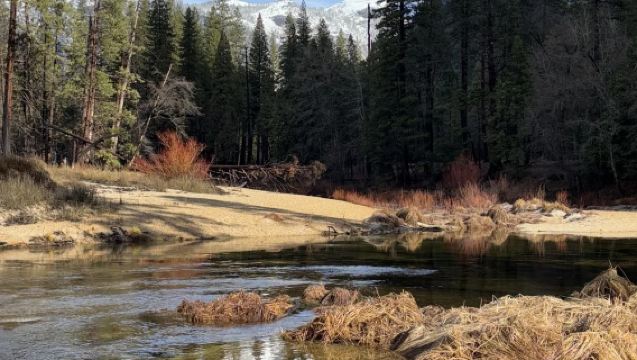 San Francisco to Yosemite National Park (El Capitan and other attractions) - 12H private charter - private charter available - top pick