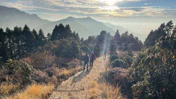 PokharaTravel Services