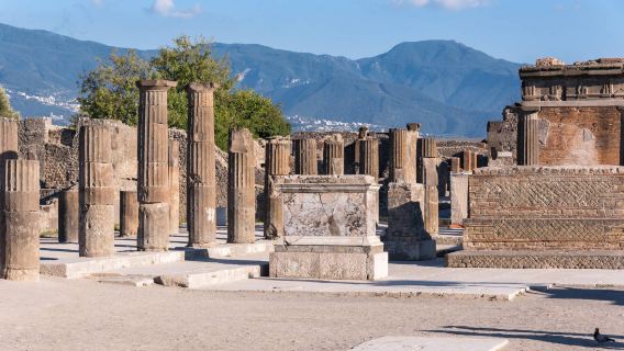 lawatan sehari Amalfi + Pompeii dengan Makan Tengahari, Lawatan Berbahasa Inggeris