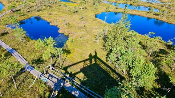 Ķemeri Great Bog Discovery With Optional Sunrise & Jūrmala Visit