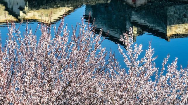 安徽宏村+木坑竹海+西遞一日遊+選中英俄導遊 EA