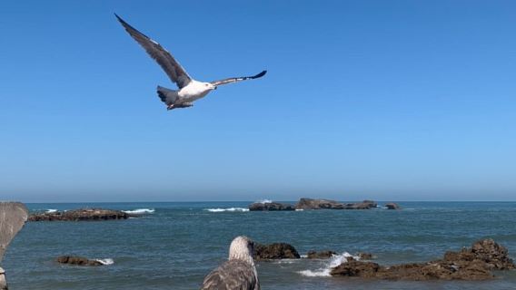 Essaouira
