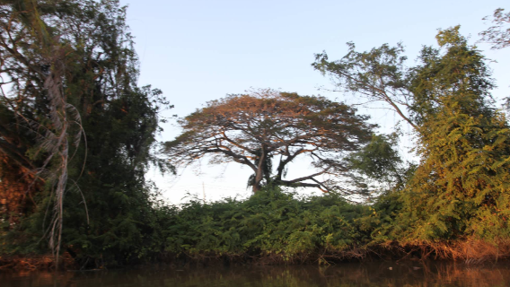 Kuala PenyuTours
