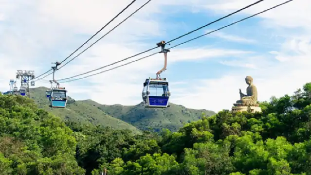 Lantau Island Tai O Cultural Fishing Village Day Tour: Ngong Ping 360 Cable Car Express + Tian Tan Buddha