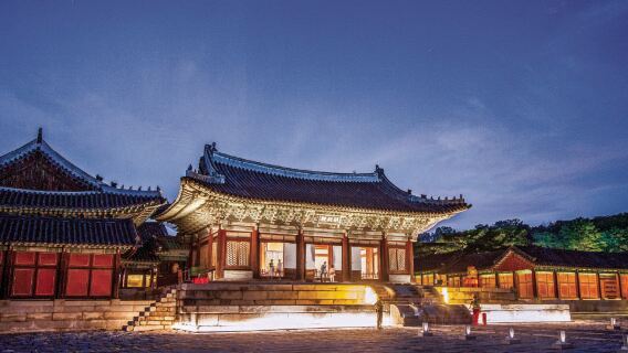 Tour đêm Seoul: Cung Changgyeong & Công viên Naksan