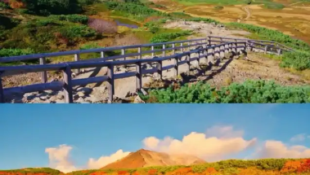 日本北海道層雲峽一日遊【秋季限定/中文專車/行程定制】