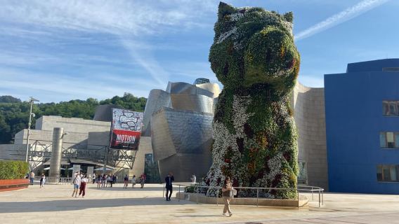 Bilbao: Esperienza VIP al Guggenheim. Piccoli gruppi. Guida esperta.