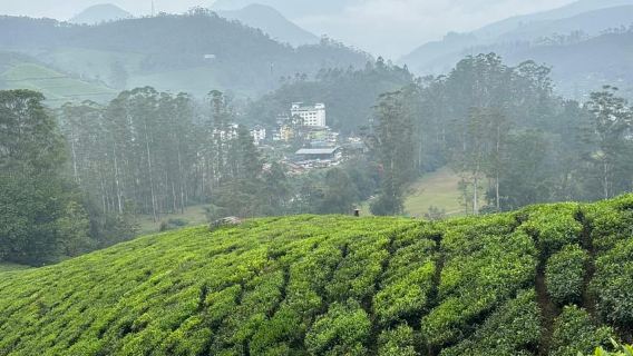 Munnar: Tur Trekking Sehari Penuh Puncak Chokramudi