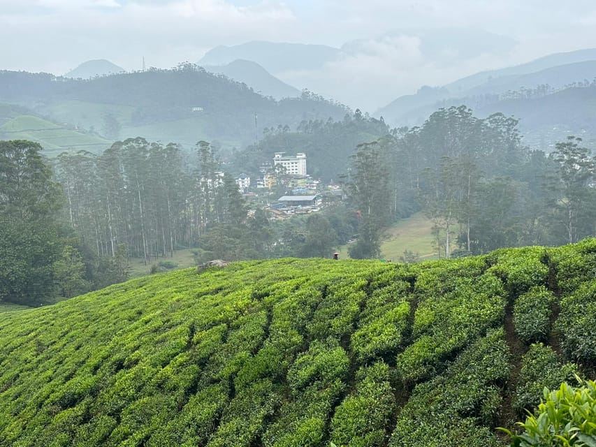 Munnar: Excursión de senderismo de día completo al pico Chokramudi
