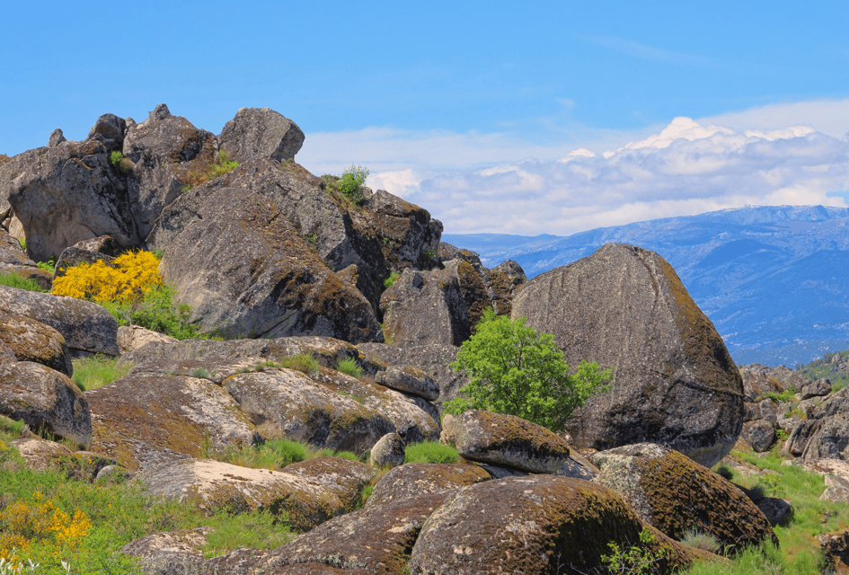 From Lisbon: Serra da Estrela and Monsanto