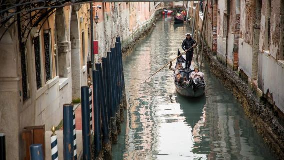 Da Punta Sabbioni: Trasferimento in barca andata e ritorno per Venezia