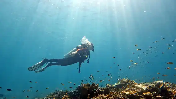 泰國普吉島體驗潛水水肺潛水 1 天【皇帝島快艇深潛一日遊｜深潛 1 次 ＋ 雙島遊｜0 基礎不會游泳都可潛】