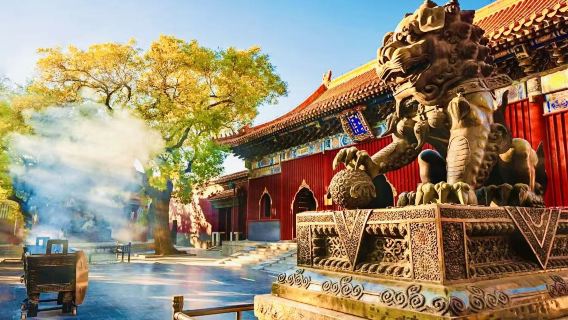 Khám phá trái tim tâm linh của Bắc Kinh: Phí vào cửa và các lựa chọn có hướng dẫn viên tại chùa Lạt Ma