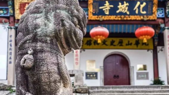 安徽九華山一日遊·導遊陪同·入場門票景交全含·黃山市區酒店上門接