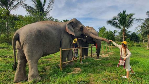 Chiang Mai LG Elephant Camp | Living Green | Jungle Trekking | Bamboo Rafting