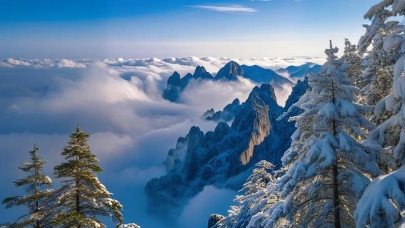 郴州莽山五指峰景區一日遊【純玩＋門票＋來回索道＋車輛接駁】