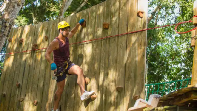 叢林極限冒險高空滑索與自由落體跳躍