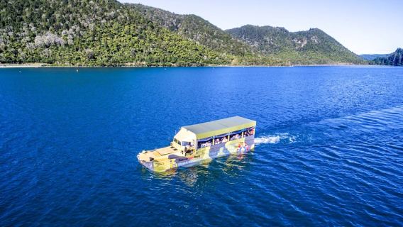 Recorrido en autobús por la ciudad y los lagos de Rotorua