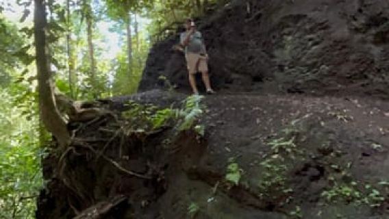 Puerto Jiménez: Wildlife and Mata Palo Waterfall with a Typical Lunch.