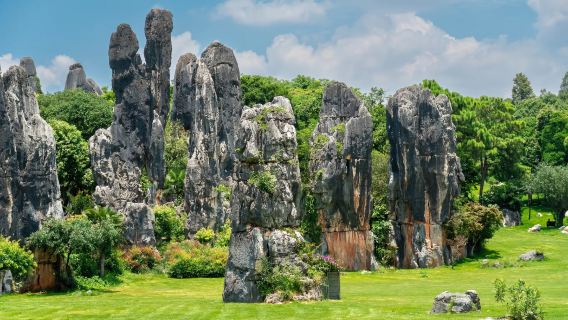 Kunming + Stone Forest Scenic Area + Fuxian Lake 1-Day Tour [No Hidden Fees]|Genuine no-shopping tour