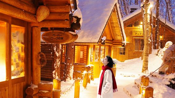 Hokkaido Asahiyama Zoo + Ningle Terrace + Shirahige Waterfall + Shirogane Blue Pond (Aoiike) 1-day tour|Includes admission tickets for small groups