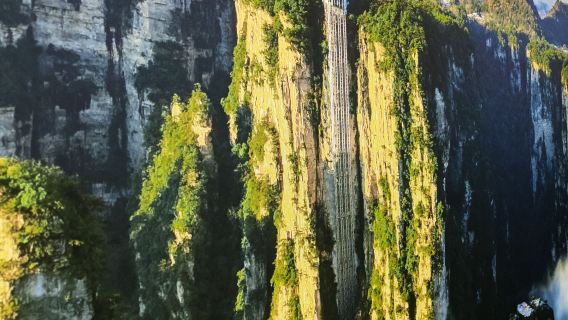 Tour privato di un'intera giornata al Parco Nazionale Forestale di Zhangjiajie (Wulingyuan)