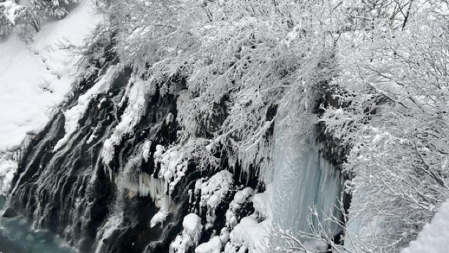 Hokkaido Tour: Asahiyama Zoo &Biei Waterfalls &Ningle Terrace