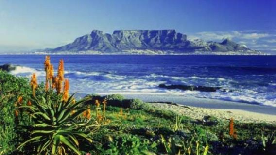 南非開普敦好望角+桌山國家公園+大康斯坦夏葡萄莊園包車遊