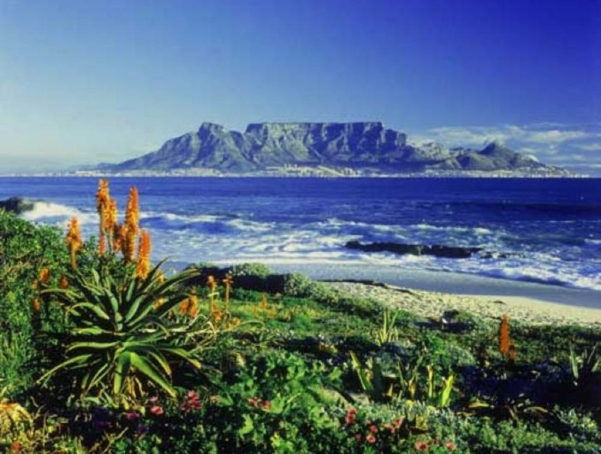 南非開普敦好望角+桌山國家公園+大康斯坦夏葡萄莊園包車遊