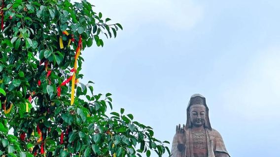 【プライベートツアー|プロフェッショナルガイド】ご案内します、仏山観光+ガイド付き解説の深い組み合わせ