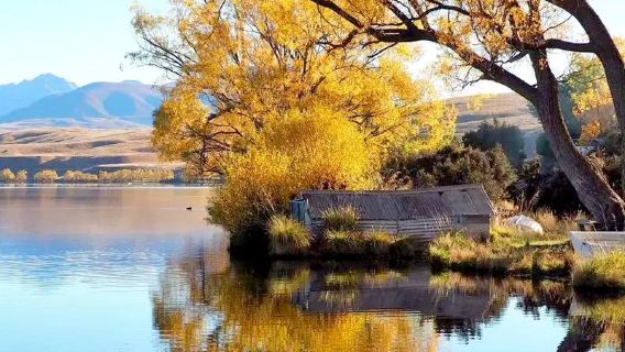 紐西蘭皇后鎮來回魔戒取景地天堂鎮+格林諾奇半日遊【中文小團】