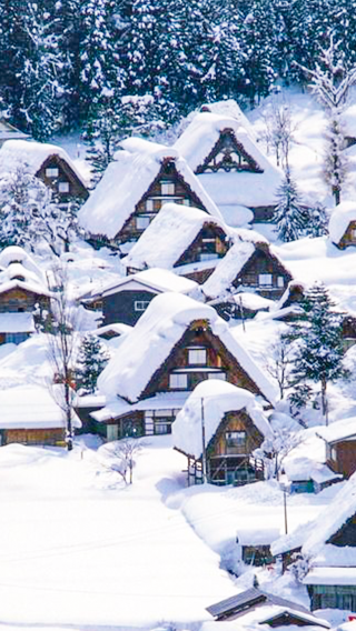 Nagoya Private Charter 1-Day Tour [Shirakawa-go/Takayama/Kanazawa/Gero/Kamikochi/Inuyama Castle]